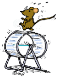 Learn about safe rodent removal techniques in Houston.