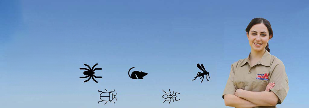 Discover reliable pest control solutions in Houston with CoverAll Pests.