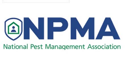 Learn about effective termite prevention strategies for Houston residents.